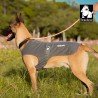 Manteau pour chien antibactérien Truelove EDDY - TLG2521
