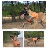 Harnais pour chien Truelove JADE - TLB2251