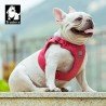 Harnais pour chien Truelove ECO - TLH3012
