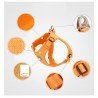 Harnais pour chien Truelove ECO - TLH3012