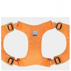 Harnais pour chien Truelove ECO - TLH3012