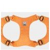 Harnais pour chien Truelove ECO - TLH3012