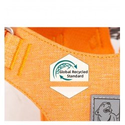 Harnais pour chien Truelove ECO - TLH3012