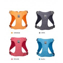 Harnais pour chien Truelove ECO - TLH3012