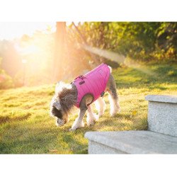 Manteau pour chien d'hiver Truelove - TLG2171