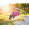 Manteau pour chien d'hiver Truelove - TLG2171