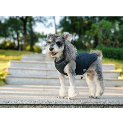 Manteau pour chien d'hiver Truelove - TLG2171