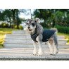 Manteau pour chien d'hiver Truelove - TLG2171