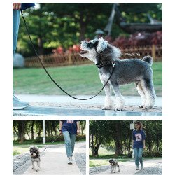 Laisse pour chien Truelove réfléchissante et légère - TLL2772