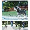 Laisse pour chien Truelove réfléchissante et légère - TLL2772