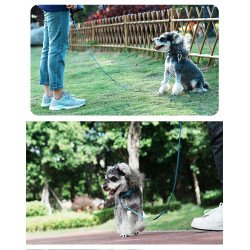 Laisse pour chien Truelove réfléchissante et légère - TLL2772