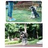 Laisse pour chien Truelove réfléchissante et légère - TLL2772