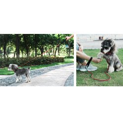 Laisse pour chien Truelove réfléchissante et légère - TLL2772