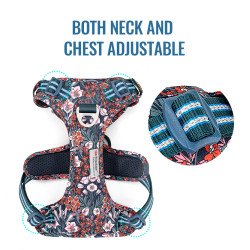 Harnais pour chien Truelove Country + FLOWER CORDURA - TLH5656