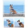 Harnais pour chien Truelove Alaska + FLOWER - TLH58122