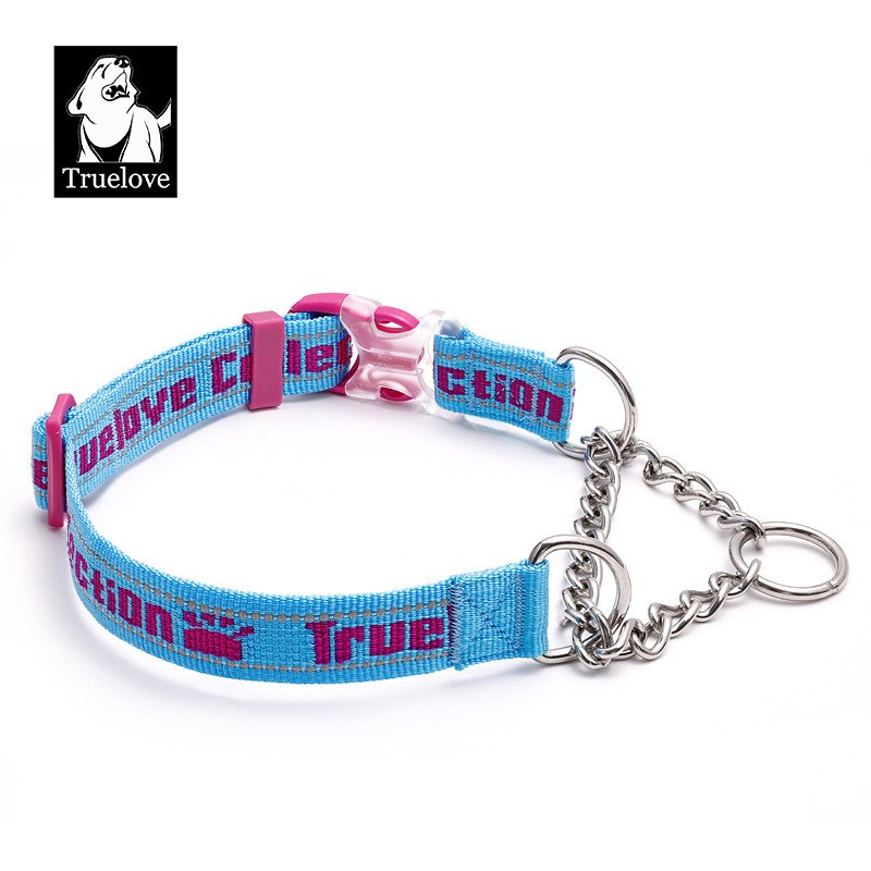 Collier pour chien chien Truelove chaîne acier inoxydable - TLC5372