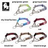 Collier pour chien chien Truelove chaîne acier inoxydable - TLC5372
