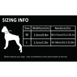 Collier pour chien chien Truelove chaîne acier inoxydable - TLC5372