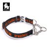 Collier pour chien chien Truelove chaîne acier inoxydable - TLC5372