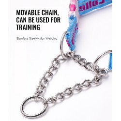 Collier pour chien chien Truelove chaîne acier inoxydable - TLC5372