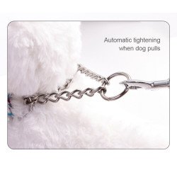Collier pour chien chien Truelove chaîne acier inoxydable - TLC5372