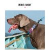 Collier pour chien chien Truelove chaîne acier inoxydable - TLC5372