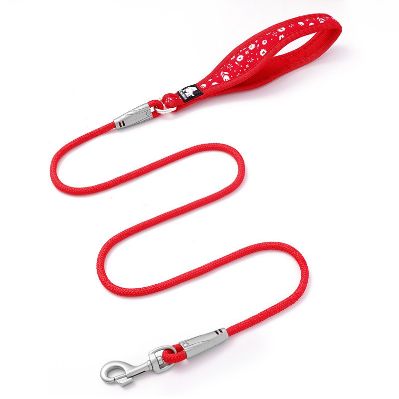 Laisse pour chien extérieure premium Truelove confortable - TLL25761