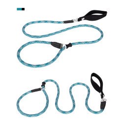 Laisse pour chien lasso de Formation Truelove pour chien - TLL2575