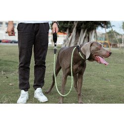 Laisse pour chien lasso de Formation Truelove pour chien - TLL2575