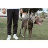 Laisse pour chien lasso de Formation Truelove pour chien - TLL2575