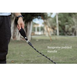 Laisse pour chien lasso de Formation Truelove pour chien - TLL2575