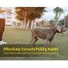 Laisse pour chien lasso de Formation Truelove pour chien - TLL2575