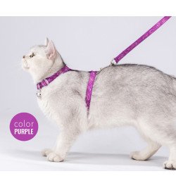 Ensemble Harnais pour chien et Laisse pour chien Truelove pour Chats - TLH3912