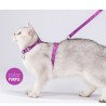 Ensemble Harnais pour chien et Laisse pour chien Truelove pour Chats - TLH3912
