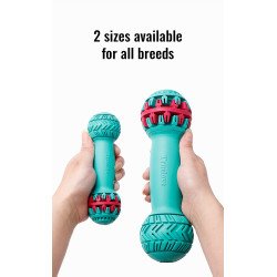 Jouet pour Chien Distributeur de Friandises - TLT2606