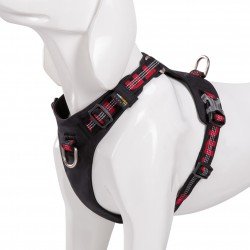 harnais pour chien truelove colorado + - TLH6282