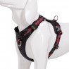 harnais pour chien truelove colorado + - TLH6282