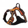 Harnais pour chien Truelove Country + - TLH56512
