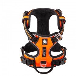 Harnais pour chien Truelove Country + - TLH56512