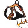 Harnais pour chien Truelove Country + - TLH56512