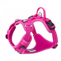 Harnais pour chien Truelove Country + - TLH56512