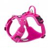 Harnais pour chien Truelove Country + - TLH56512