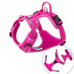 Harnais pour chien Truelove Country + - TLH56512
