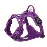 Harnais pour chien Truelove Country + - TLH56512