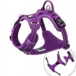 Harnais pour chien Truelove Country + - TLH56512