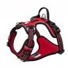 Harnais pour chien Truelove Country + - TLH56512