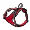 Harnais pour chien Truelove Country + - TLH56512