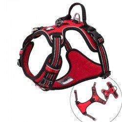 Harnais pour chien Truelove Country + - TLH56512