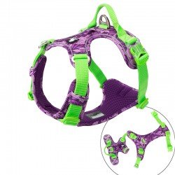 Harnais pour chien Truelove Country + Special Edition - TLH5653