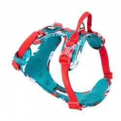 Harnais pour chien Truelove Country + Special Edition - TLH5653